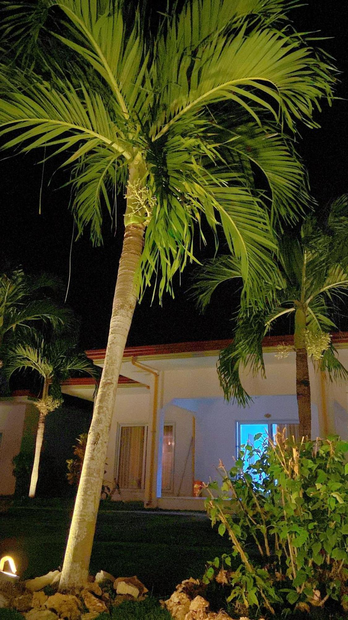 Green Mango Resort Danao  Kültér fotó